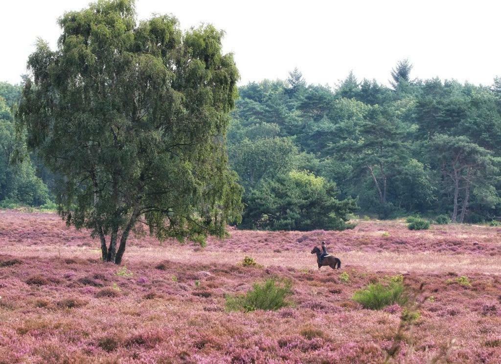 B&B De Sfeerhoeve Beilen Exteriér fotografie