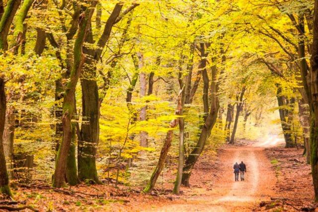 B&B De Sfeerhoeve Beilen Exteriér fotografie