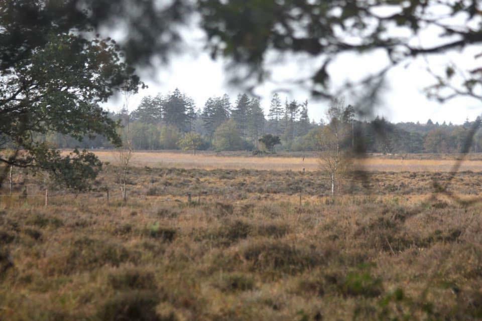 B&B De Sfeerhoeve Beilen Exteriér fotografie