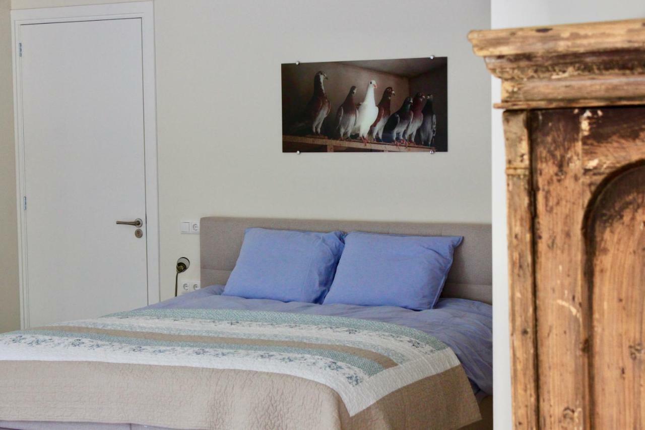 B&B De Sfeerhoeve Beilen Exteriér fotografie